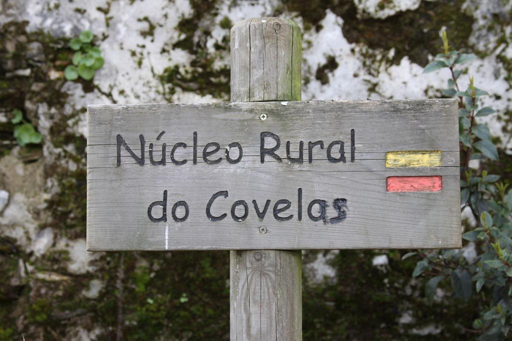 Alojamento Rural De Covelas Exterior photo